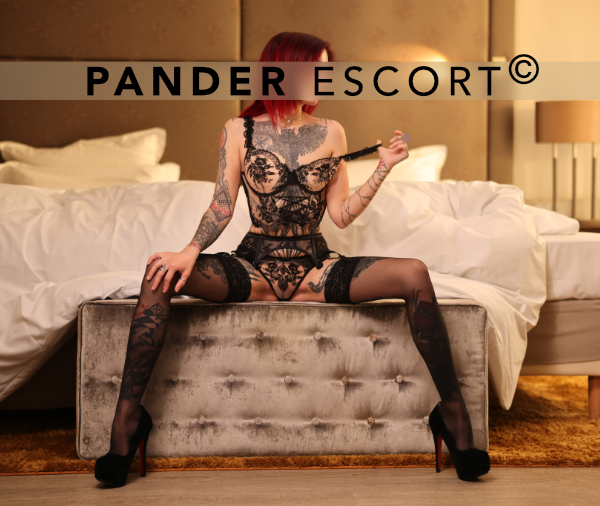 Escort Stuttgart Alex