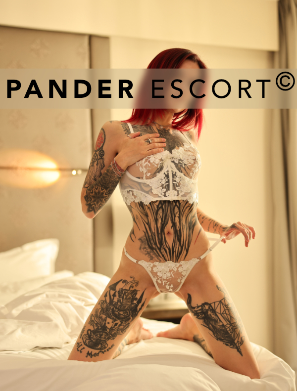 Escort Stuttgart Alex